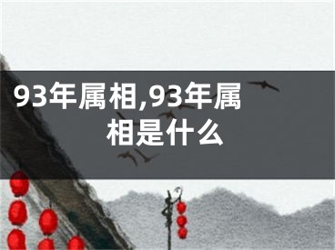 93年属相,93年属相是什么