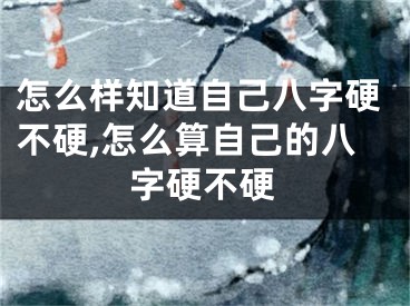 怎么样知道自己八字硬不硬,怎么算自己的八字硬不硬