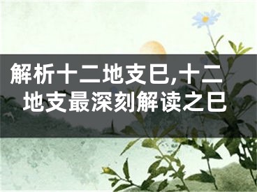 解析十二地支巳,十二地支最深刻解读之巳