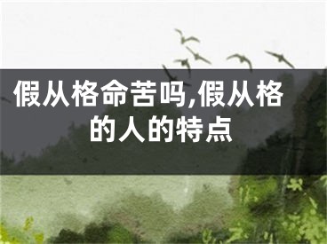 假从格命苦吗,假从格的人的特点