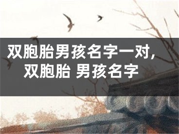 双胞胎男孩名字一对,双胞胎 男孩名字