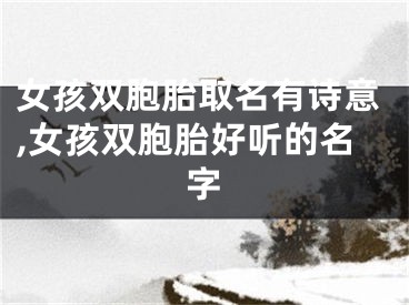 女孩双胞胎取名有诗意,女孩双胞胎好听的名字