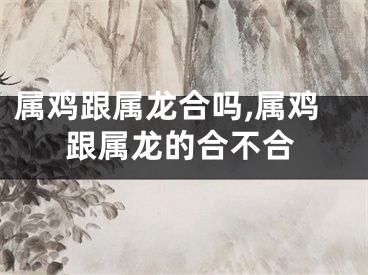 属鸡跟属龙合吗,属鸡跟属龙的合不合