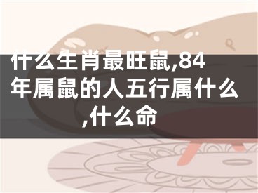 什么生肖最旺鼠,84年属鼠的人五行属什么,什么命