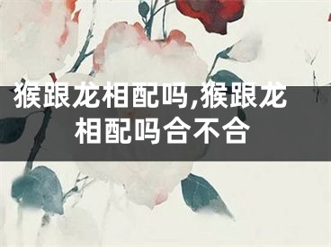 猴跟龙相配吗,猴跟龙相配吗合不合