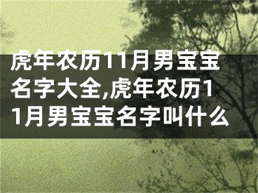 虎年农历11月男宝宝名字大全,虎年农历11月男宝宝名字叫什么