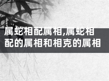 属蛇相配属相,属蛇相配的属相和相克的属相