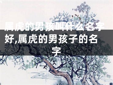 属虎的男孩叫什么名字好,属虎的男孩子的名字
