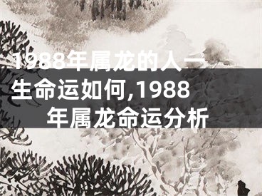 1988年属龙的人一生命运如何,1988年属龙命运分析
