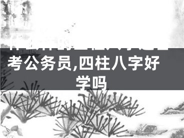什么样的四柱八字适合考公务员,四柱八字好学吗