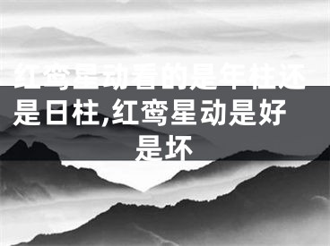 红鸾星动看的是年柱还是日柱,红鸾星动是好是坏