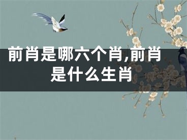 前肖是哪六个肖,前肖是什么生肖