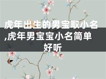 虎年出生的男宝取小名,虎年男宝宝小名简单好听
