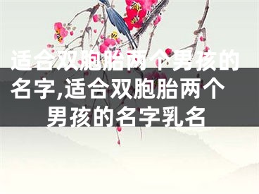 适合双胞胎两个男孩的名字,适合双胞胎两个男孩的名字乳名