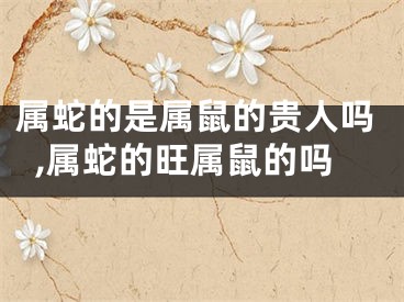 属蛇的是属鼠的贵人吗,属蛇的旺属鼠的吗