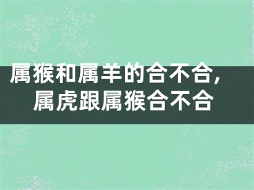 属猴和属羊的合不合,属虎跟属猴合不合
