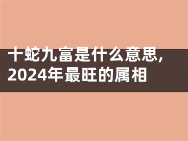 十蛇九富是什么意思,2024年最旺的属相