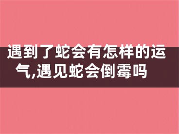 遇到了蛇会有怎样的运气,遇见蛇会倒霉吗