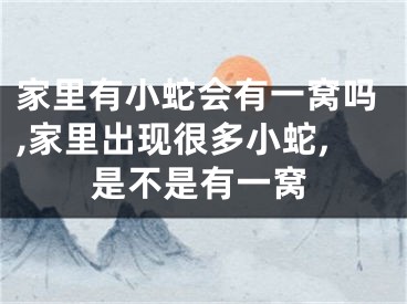 家里有小蛇会有一窝吗,家里出现很多小蛇,是不是有一窝