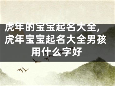 虎年的宝宝起名大全,虎年宝宝起名大全男孩用什么字好