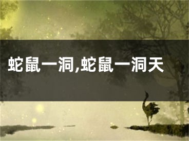 蛇鼠一洞,蛇鼠一洞天