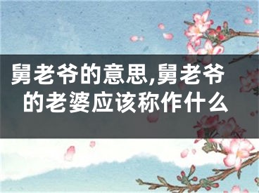 舅老爷的意思,舅老爷的老婆应该称作什么