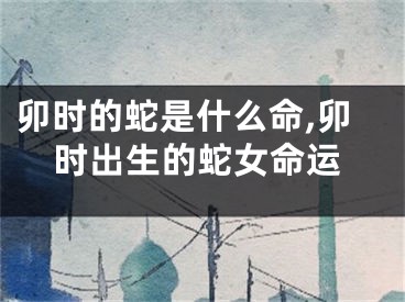 卯时的蛇是什么命,卯时出生的蛇女命运