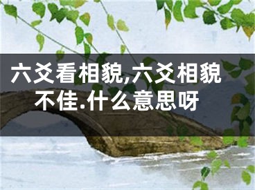 六爻看相貌,六爻相貌不佳.什么意思呀