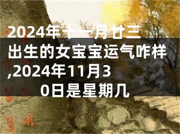 2024年十一月廿三出生的女宝宝运气咋样,2024年11月30日是星期几