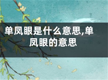 单凤眼是什么意思,单凤眼的意思