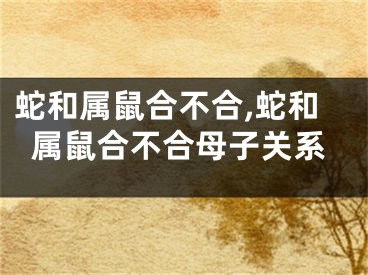 蛇和属鼠合不合,蛇和属鼠合不合母子关系