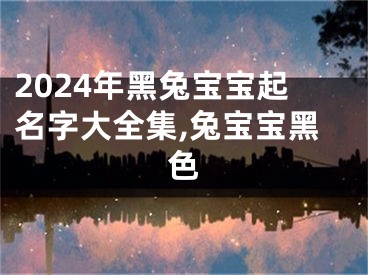 2024年黑兔宝宝起名字大全集,兔宝宝黑色