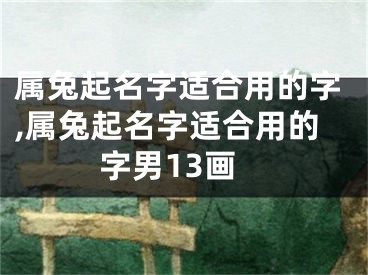 属兔起名字适合用的字,属兔起名字适合用的字男13画