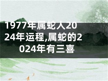 1977年属蛇人2024年运程,属蛇的2024年有三喜