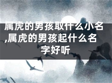 属虎的男孩取什么小名,属虎的男孩起什么名字好听