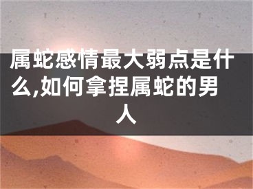 属蛇感情最大弱点是什么,如何拿捏属蛇的男人