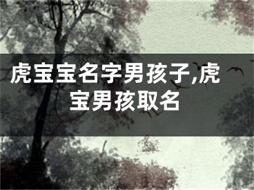 虎宝宝名字男孩子,虎宝男孩取名