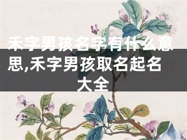 禾字男孩名字有什么意思,禾字男孩取名起名大全