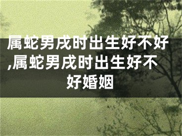 属蛇男戌时出生好不好,属蛇男戌时出生好不好婚姻