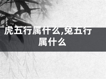 虎五行属什么,兔五行属什么
