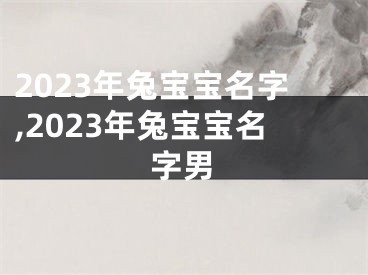 2023年兔宝宝名字,2023年兔宝宝名字男