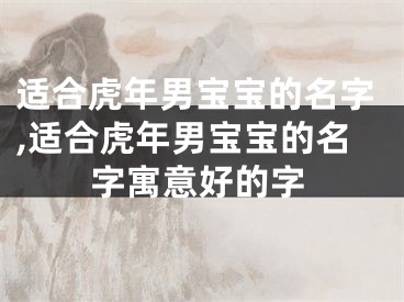 适合虎年男宝宝的名字,适合虎年男宝宝的名字寓意好的字