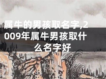 属牛的男孩取名字,2009年属牛男孩取什么名字好