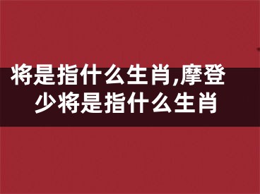 将是指什么生肖,摩登少将是指什么生肖