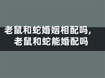 老鼠和蛇婚姻相配吗,老鼠和蛇能婚配吗
