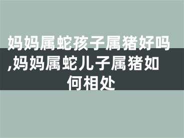 妈妈属蛇孩子属猪好吗,妈妈属蛇儿子属猪如何相处