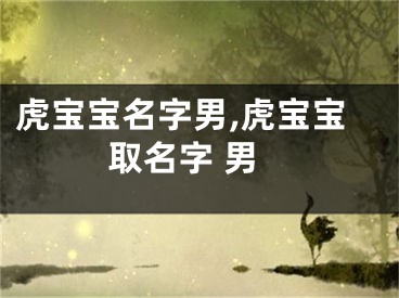 虎宝宝名字男,虎宝宝取名字 男