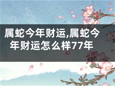 属蛇今年财运,属蛇今年财运怎么样77年