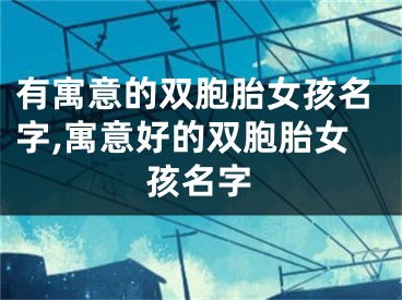 有寓意的双胞胎女孩名字,寓意好的双胞胎女孩名字