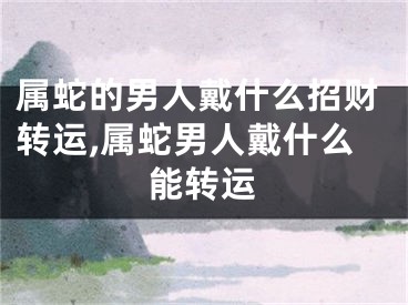 属蛇的男人戴什么招财转运,属蛇男人戴什么能转运